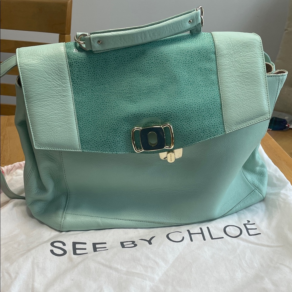 See By Chloe Pastel Green Leather Shoulder Bag